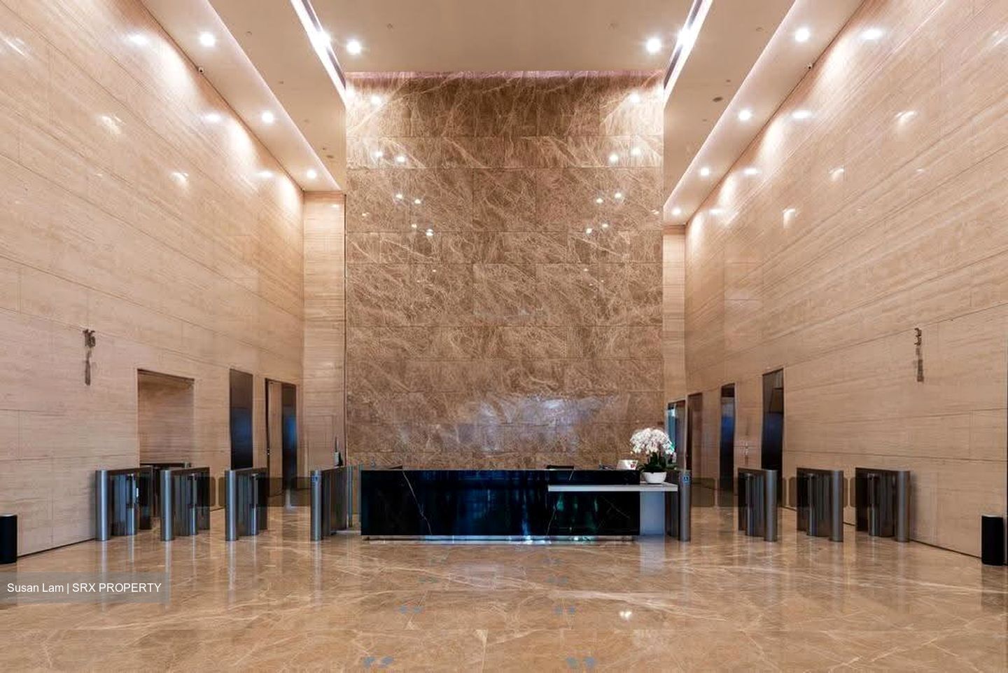 PLUS (D1), Office #638489701